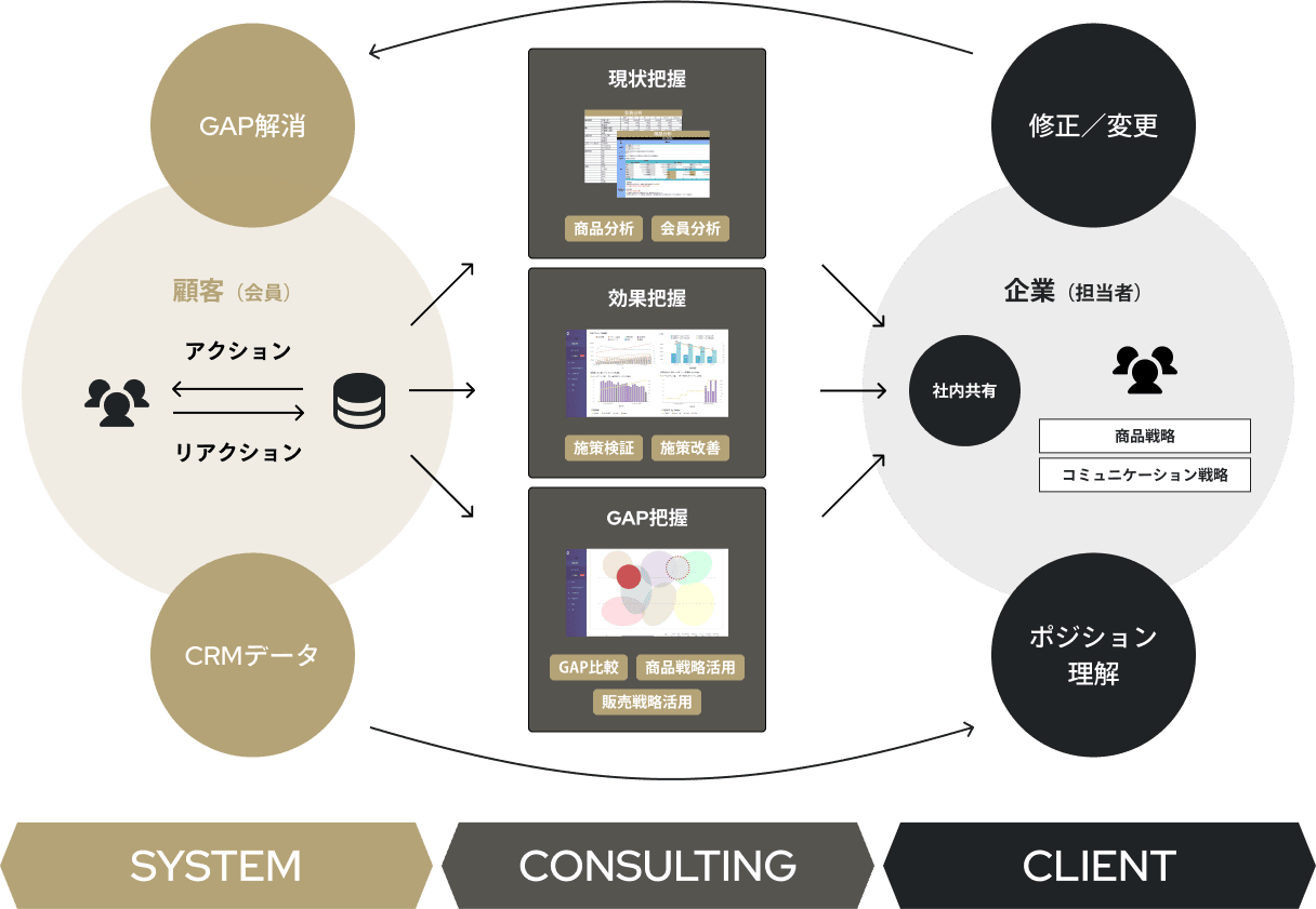 System/Consulting/Client